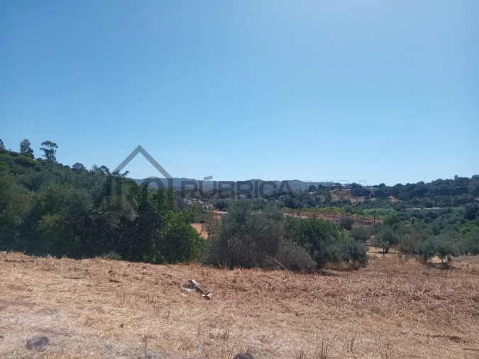Moradia para Venda em Querença, Tôr e Benafim Foto 4