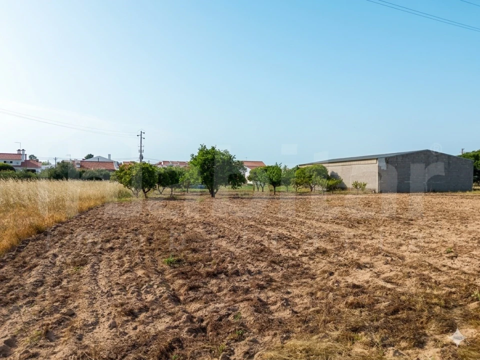 Terreno para Venda em Benavente Foto 3