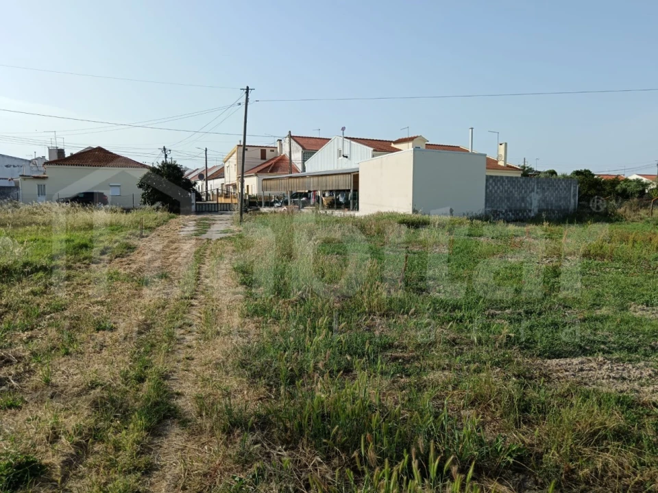 Terreno para Venda em Benavente Foto 6