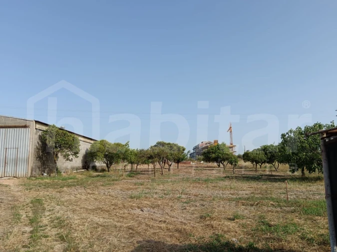 Terreno para Venda em Benavente Foto 5
