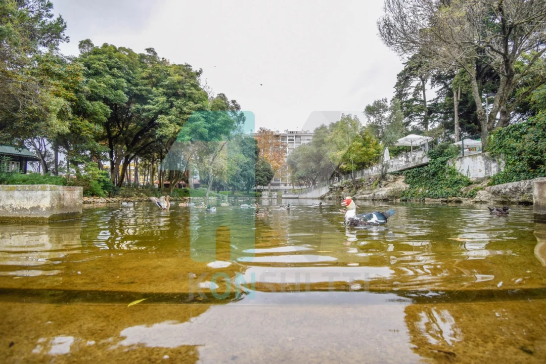 Quarto para Arrendamento em São Domingos de Rana Foto 5