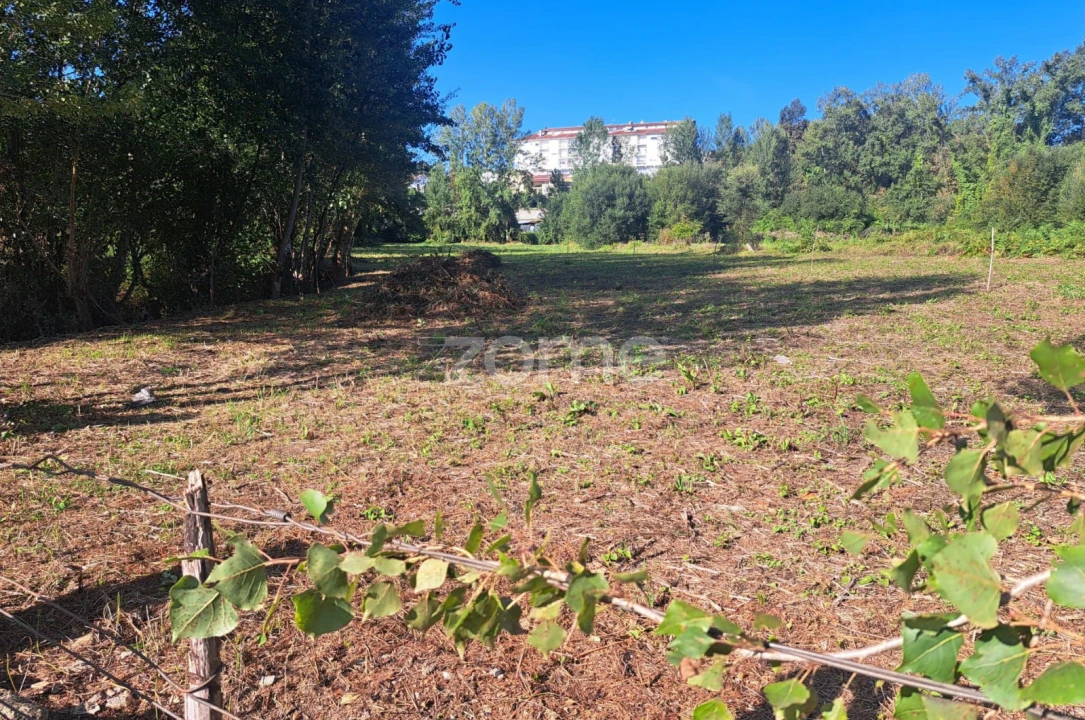 Terreno para Venda em Vila Verde e Barbudo Foto 3