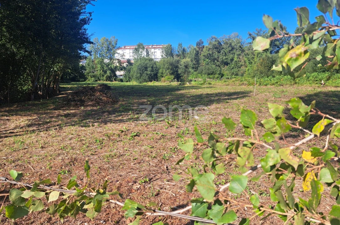 Terreno para Venda em Vila Verde e Barbudo Foto 1