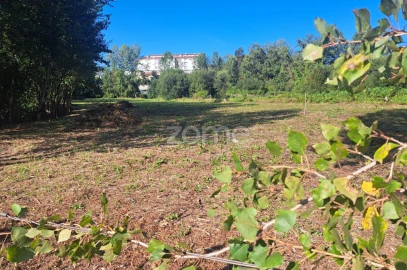 Terreno para Venda em Vila Verde e Barbudo
