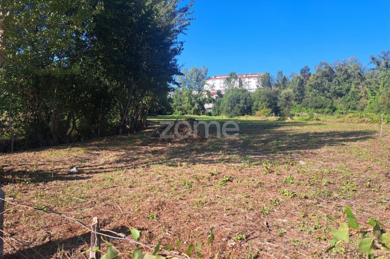 Terreno para Venda em Vila Verde e Barbudo Foto 2