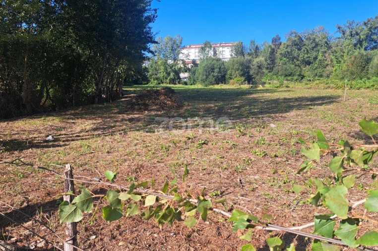 Terreno para Venda em Vila Verde e Barbudo Foto 3