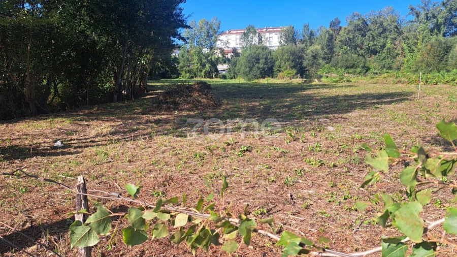 Terreno para Venda em Vila Verde e Barbudo