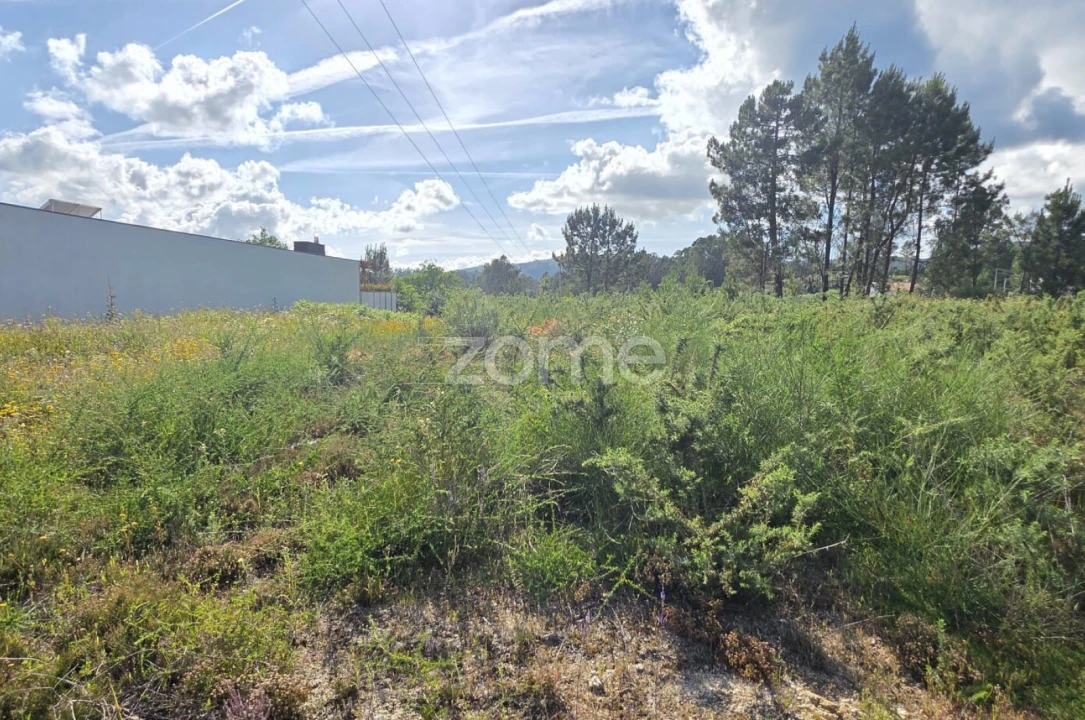 Terreno para Venda em Esqueiros, Nevogilde e Travassós Foto 3