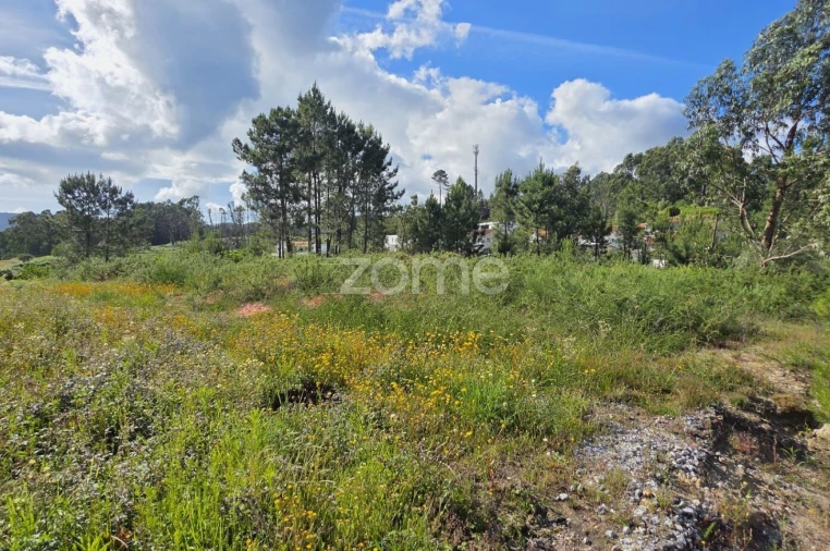 Terreno para Venda em Esqueiros, Nevogilde e Travassós Foto 5