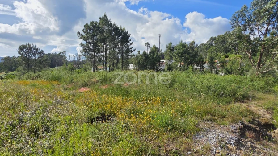 Terreno para Venda em Esqueiros, Nevogilde e Travassós