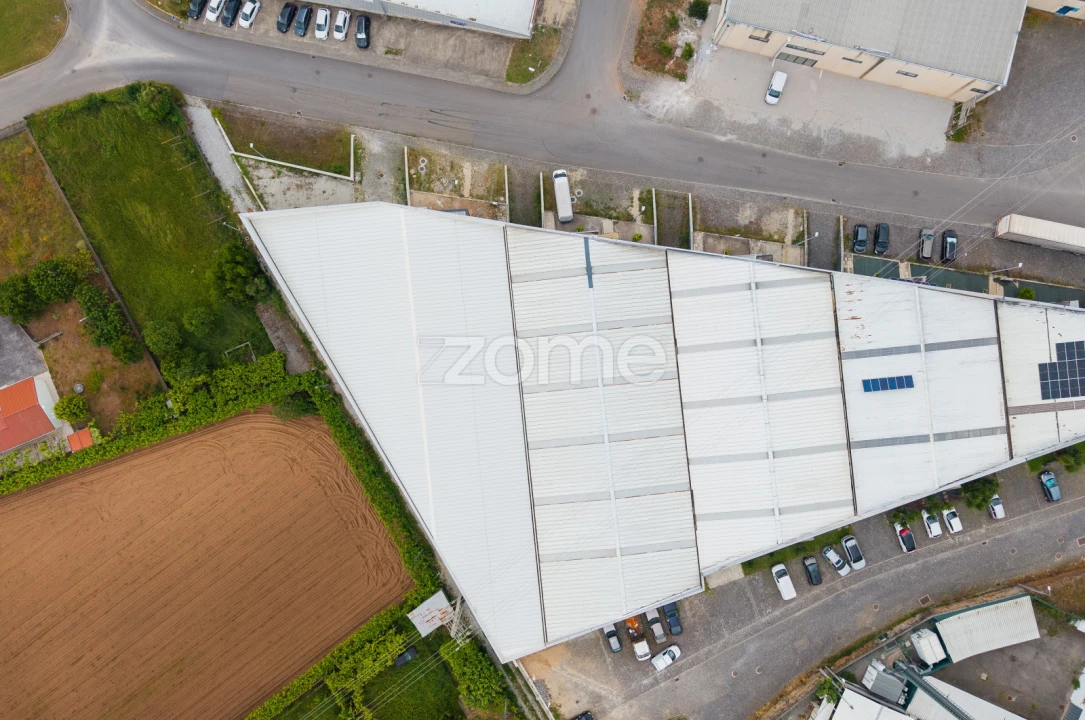Terreno Comércio / Armazém para Venda em Santo Tirso, Couto (Santa Cristina e São Miguel) e Burgães Foto 19