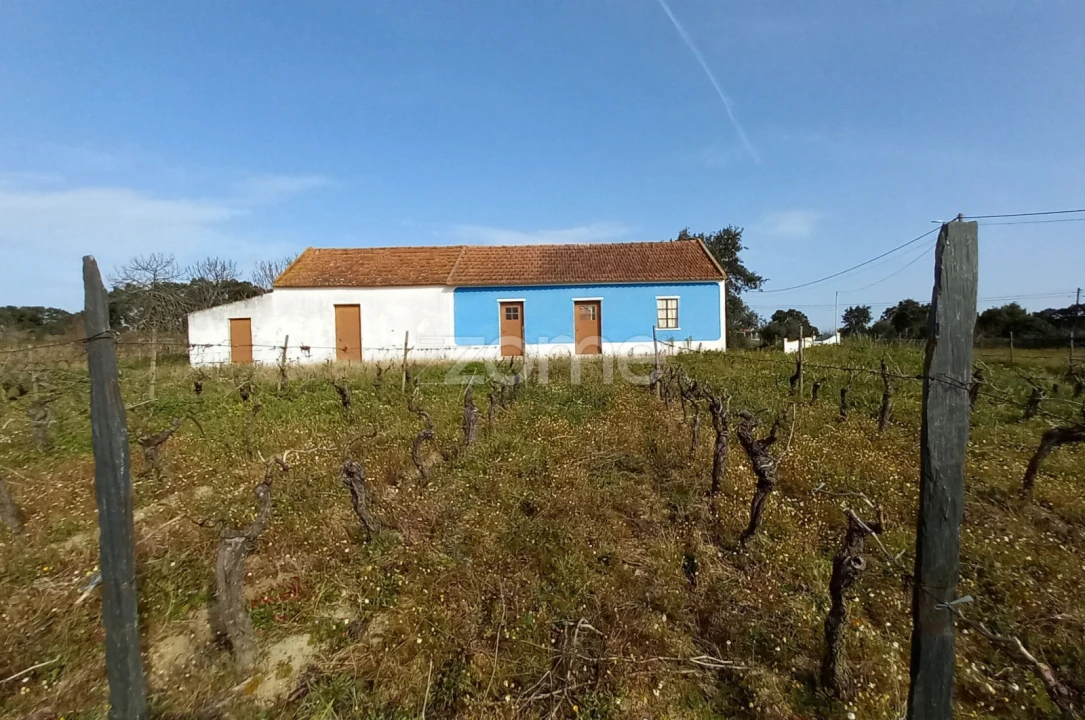 Quinta T2 para Venda em Cartaxo e Vale da Pinta Foto 3