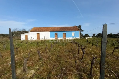 Quinta T2 para Venda em Cartaxo e Vale da Pinta