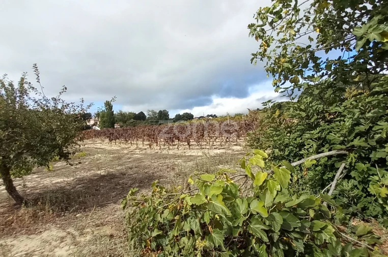 Quinta T2 para Venda em Cartaxo e Vale da Pinta Foto 13