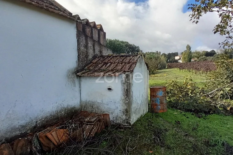 Quinta T2 para Venda em Cartaxo e Vale da Pinta Foto 6