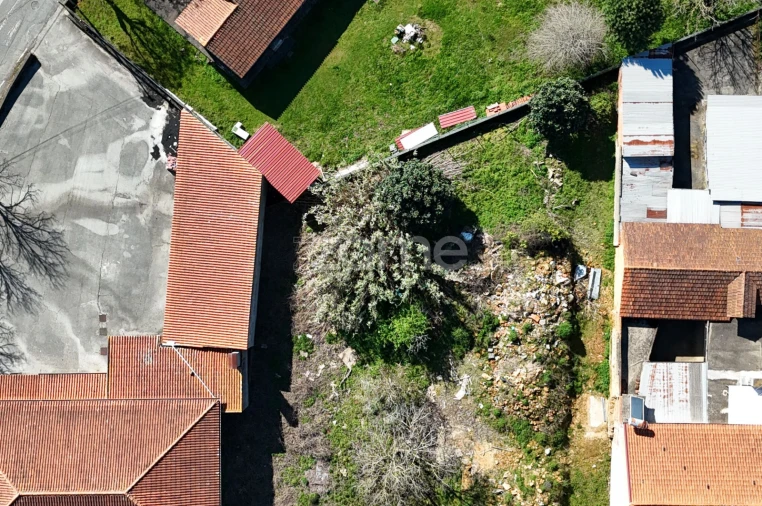 Terreno para Venda em Amoreira da Gândara, Paredes do Bairro e Ancas Foto 14