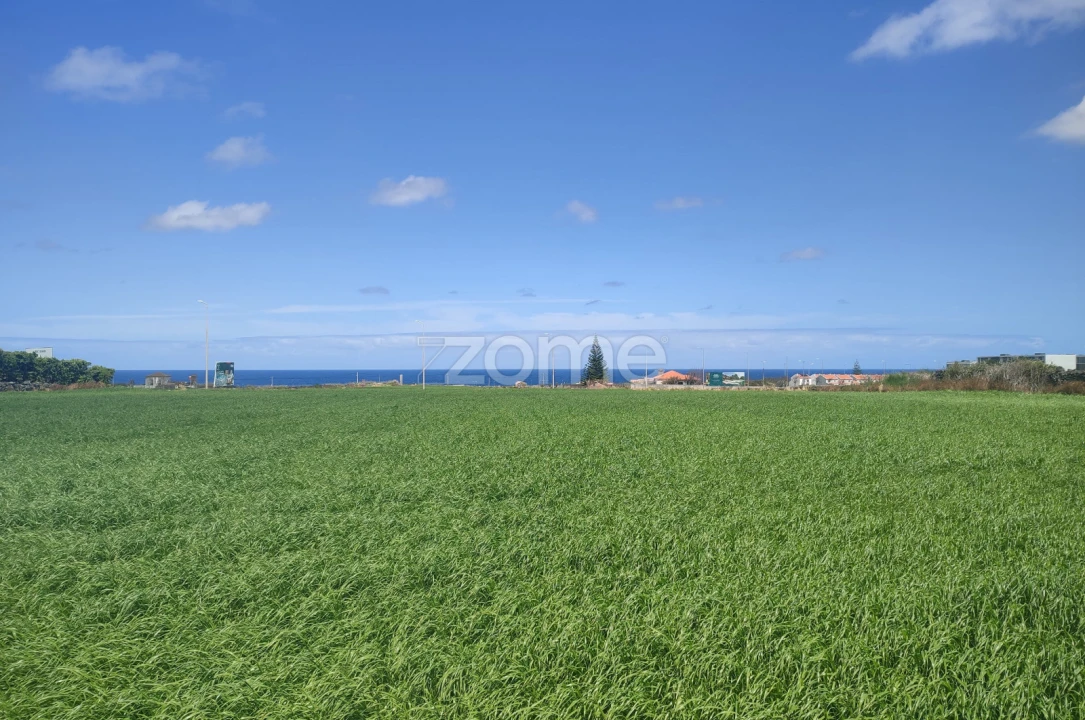 Terreno para Venda em Ribeira Seca Foto 6