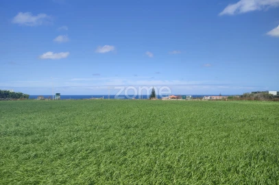 Terreno para Venda em Ribeira Seca
