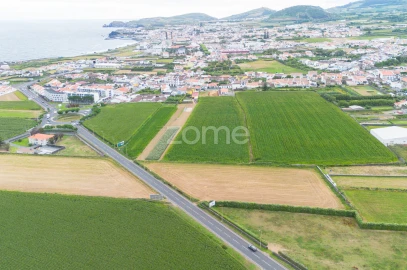 Terreno para Venda em Ribeira Seca