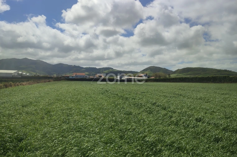 Terreno para Venda em Ribeira Seca Foto 4