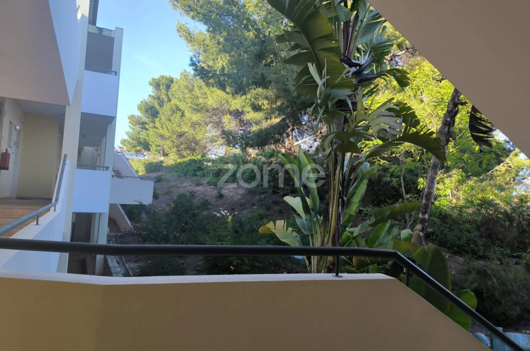 Apartamento T1 para Arrendamento em Alvor Foto 13