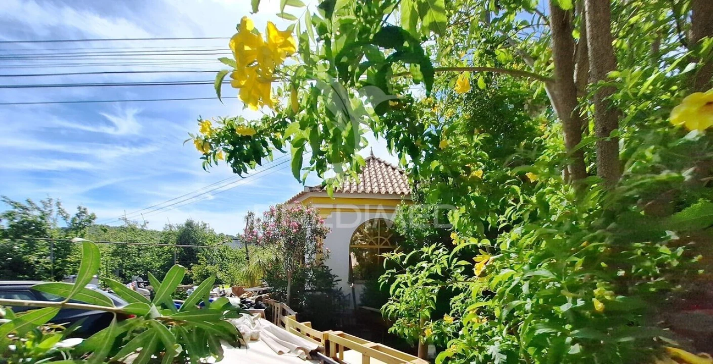 Terreno para Venda em São Brás de Alportel Foto 2