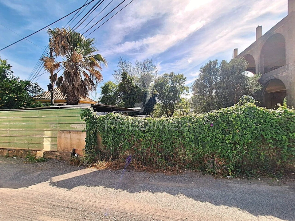 Terreno para Venda em São Brás de Alportel Foto 20