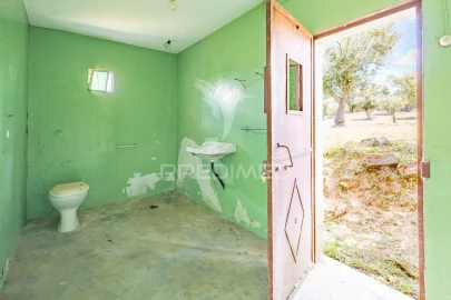 Moradia T9 para Venda em Gafanhoeira (São Pedro) e Sabugueiro