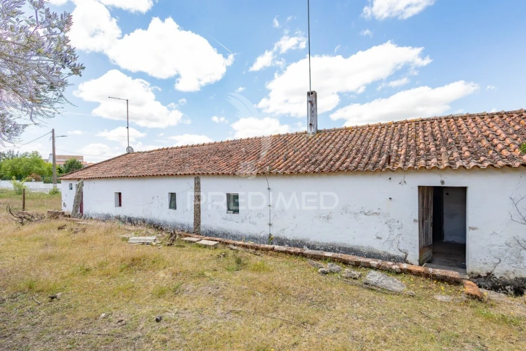 Moradia T9 para Venda em Gafanhoeira (São Pedro) e Sabugueiro Foto 36