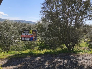 Terreno para Venda em Sé e São Lourenço