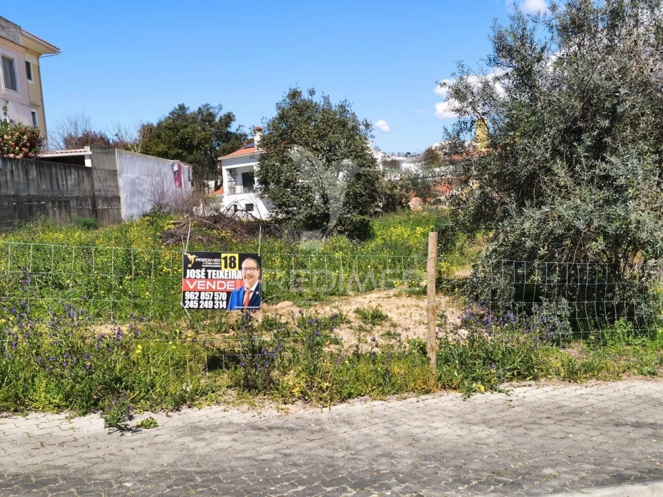 Terreno para Venda em Sé e São Lourenço Foto 2