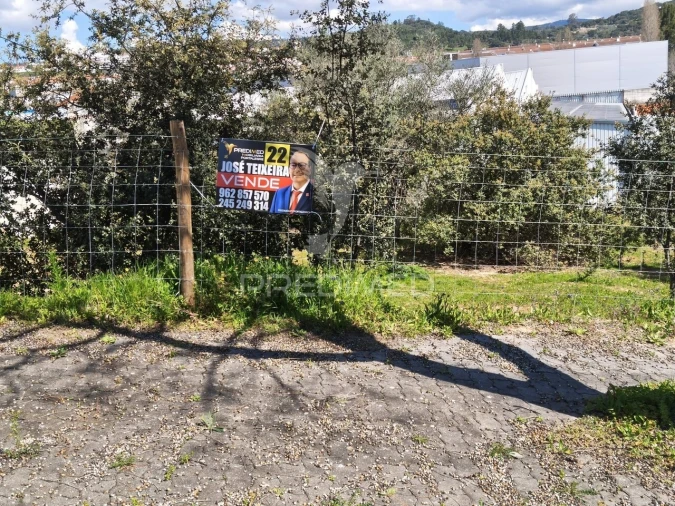 Terreno para Venda em Sé e São Lourenço Foto 2