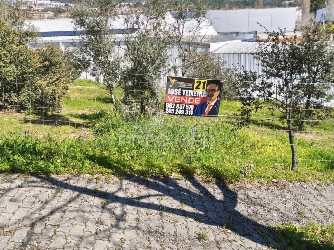 Terreno para Venda em Sé e São Lourenço Foto 2