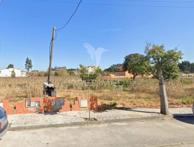 Terreno para Venda em Santo Andre de Vagos Foto 2