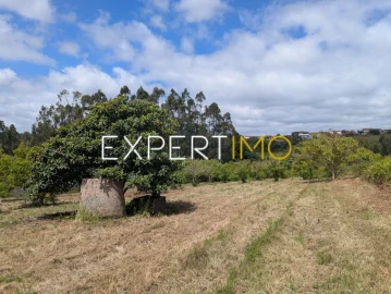Moradia T4 para Venda em Alvorninha