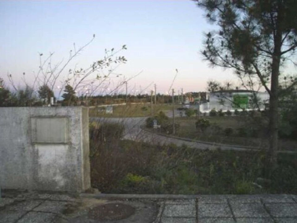 Terreno para Venda em Mação, Penhascoso e Aboboreira Foto 3