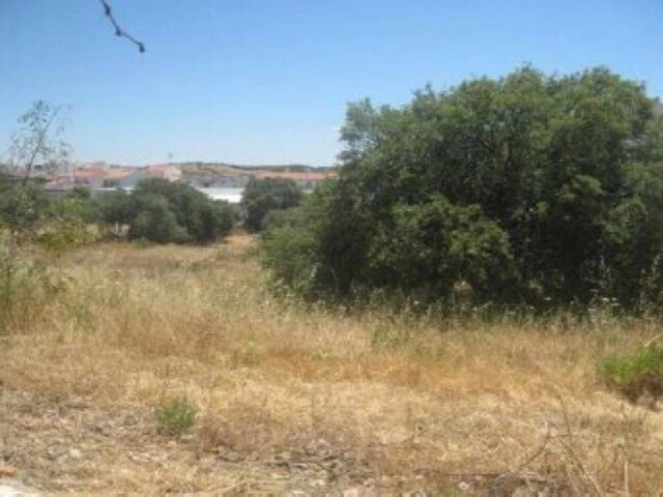 Terreno para Venda em Almodôvar e Graça dos Padrões Foto 1
