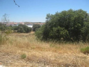 Terreno para Venda em Almodôvar e Graça dos Padrões