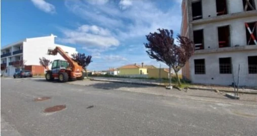Terreno para Venda em Almodôvar e Graça dos Padrões