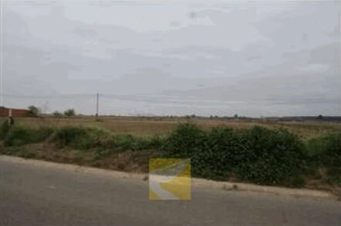 Terreno para Venda em Alpiarça Foto 5