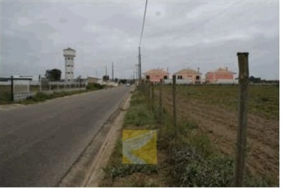 Terreno para Venda em Alpiarça Foto 8