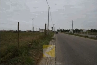 Terreno para Venda em Alpiarça
