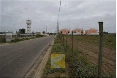 Terreno para Venda em Alpiarça