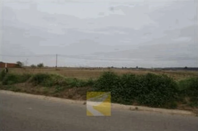 Terreno para Venda em Alpiarça Foto 5