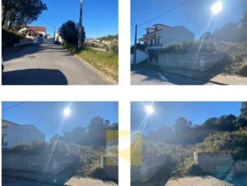 Terreno para Venda em Chamusca e Pinheiro Grande