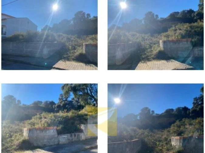 Terreno para Venda em Chamusca e Pinheiro Grande Foto 3