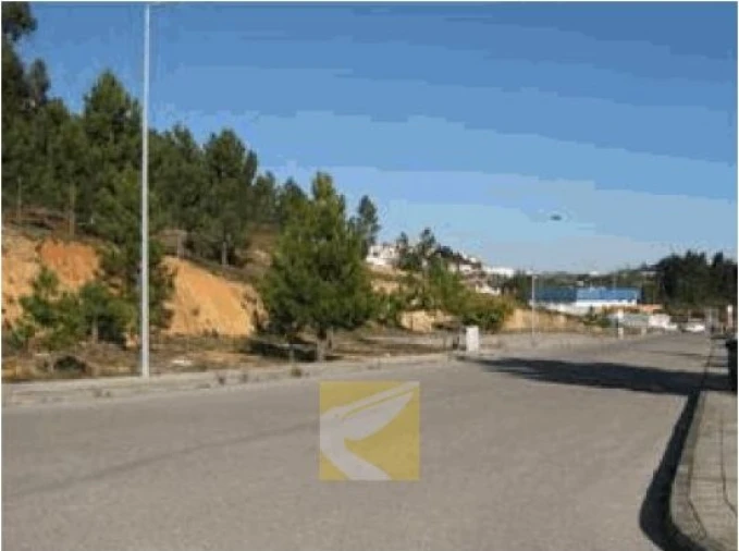 Terreno para Venda em Mação, Penhascoso e Aboboreira Foto 6