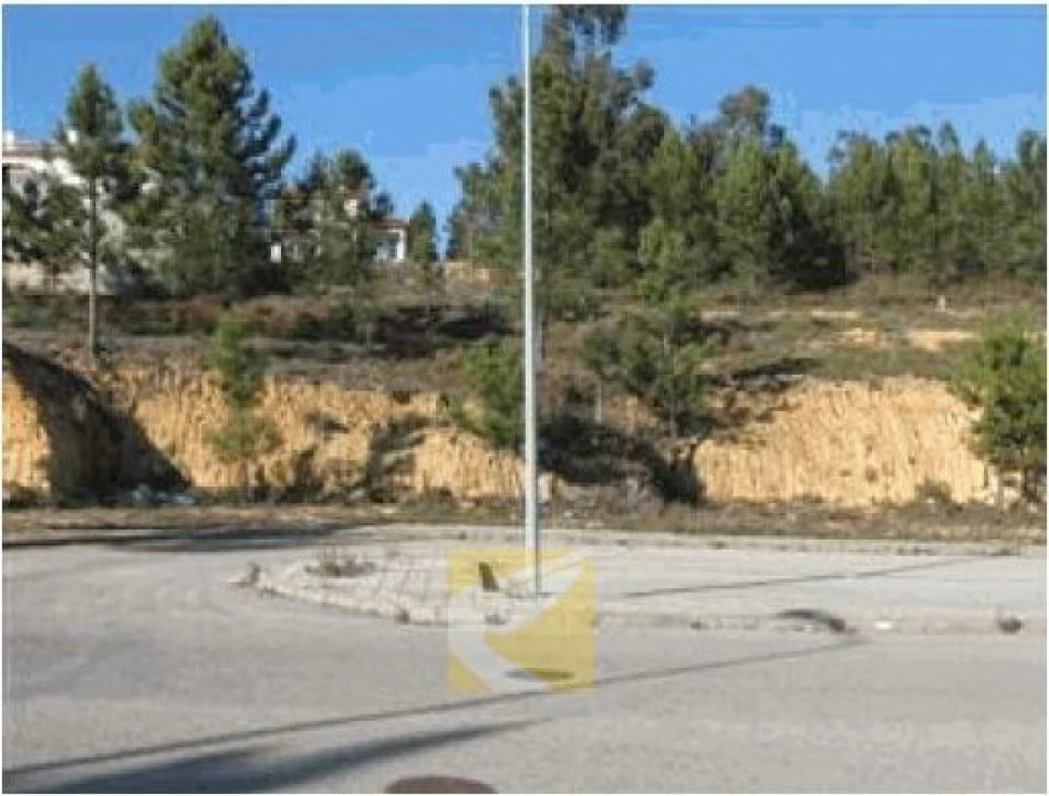 Terreno para Venda em Mação, Penhascoso e Aboboreira Foto 2