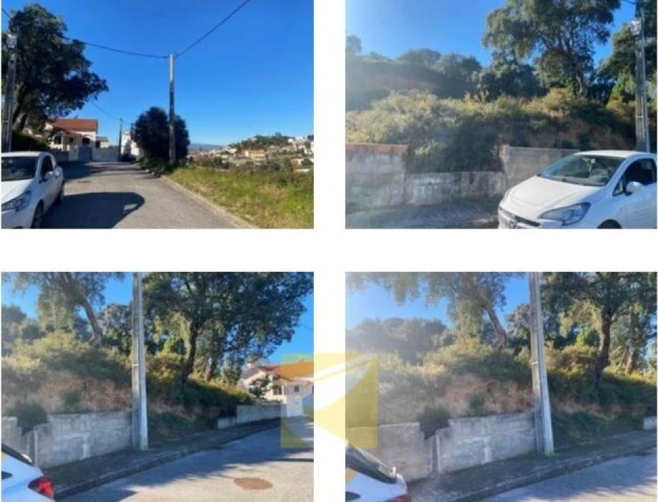 Terreno para Venda em Chamusca e Pinheiro Grande Foto 2