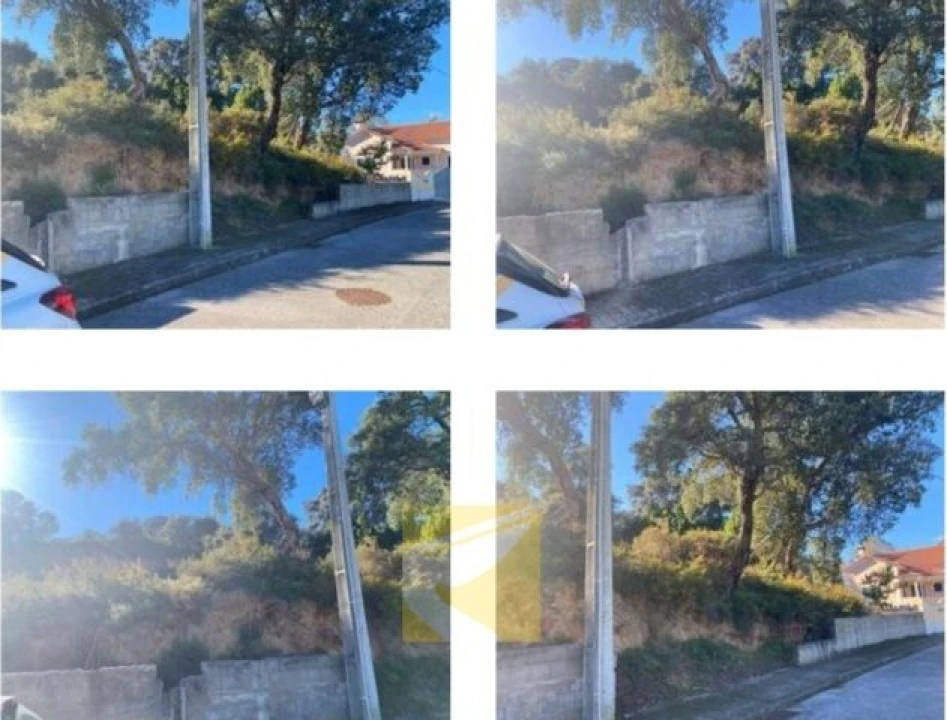 Terreno para Venda em Chamusca e Pinheiro Grande Foto 3
